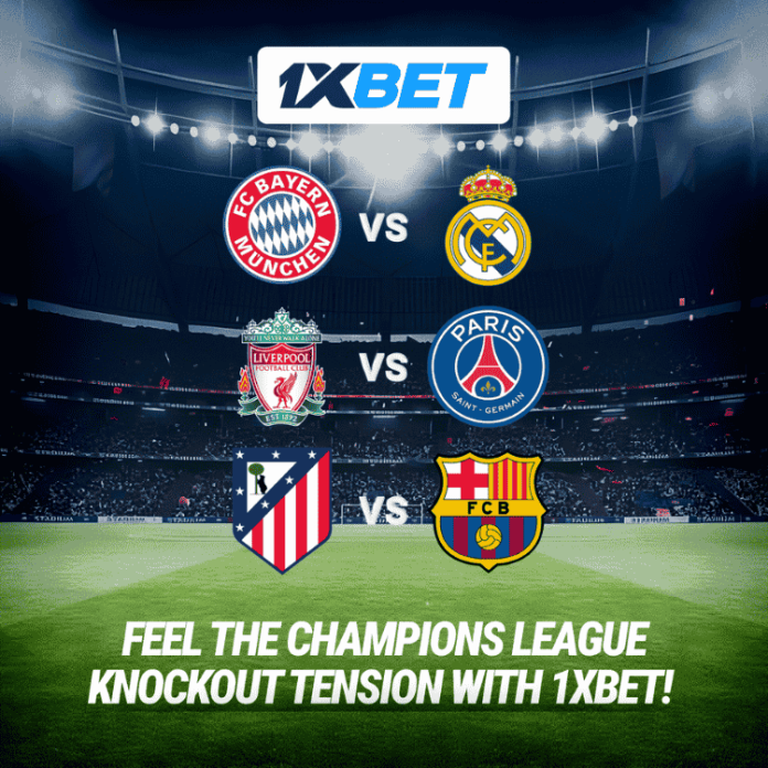 1xbet
